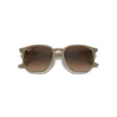 Ray-Ban 4306 616613  54 Güneş Gözlüğü