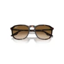 Ray-Ban 2203 902/51  55 Güneş Gözlüğü