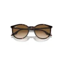 Ray-Ban 2204 902/51  51 Güneş Gözlüğü