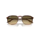 Ray-Ban 2203 13920A  55 Güneş Gözlüğü