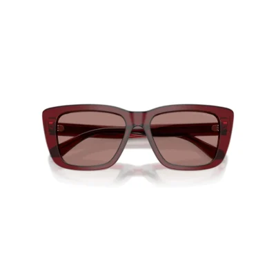 Emporio Armani 4246U 625473 54 Kadın Güneş Gözlüğü