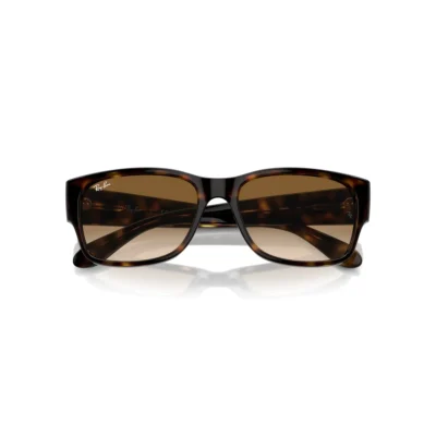 Ray-Ban 4388 710/51  58 Güneş Gözlüğü