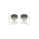 Ray-Ban 3447 001/71 Round  53 Güneş Gözlüğü