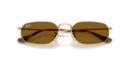 Ray-Ban 3947 001/33  54 Güneş Gözlüğü