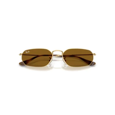 Ray-Ban 3947 001/33  54 Güneş Gözlüğü