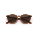 Ray-Ban 4305 820/73  53 Güneş Gözlüğü