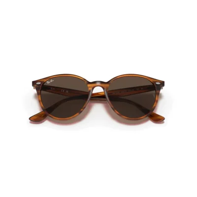 Ray-Ban 4305 820/73 53 Güneş Gözlüğü