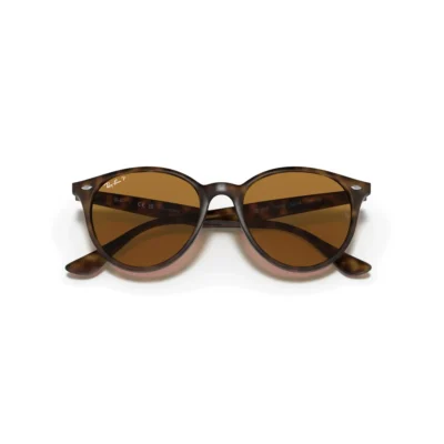 Ray-Ban 4305 710/83 53 Güneş Gözlüğü