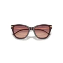 Emporio Armani 4251 62658D 54 Kadın Güneş Gözlüğü