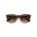 Ray-Ban 2185 133451 Wayfarer  55 Güneş Gözlüğü