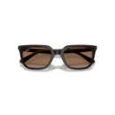 Ray-Ban 4439D 623173  54 Güneş Gözlüğü
