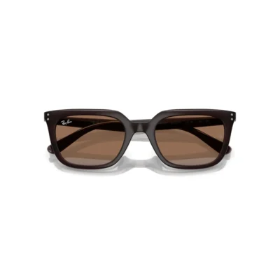 Ray-Ban 4439D 623173  54 Güneş Gözlüğü
