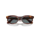 Ray-Ban 2242 954/3R Wayfarer  53 Güneş Gözlüğü