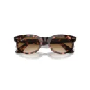 Ray-Ban 2242 133451 Wayfarer  53 Güneş Gözlüğü