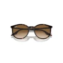 Ray-Ban 2204 902/51  54 Güneş Gözlüğü