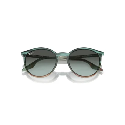 Ray-Ban 2204 1394GK 54 Güneş Gözlüğü