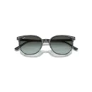 Ray-Ban 2197 1391GK  54 Güneş Gözlüğü