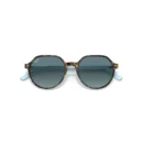 Ray-Ban 2195 13163M  53 Güneş Gözlüğü