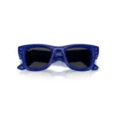 Ray-Ban 4940 683387  50 Güneş Gözlüğü