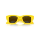 Ray-Ban 4940 683087  50 Güneş Gözlüğü
