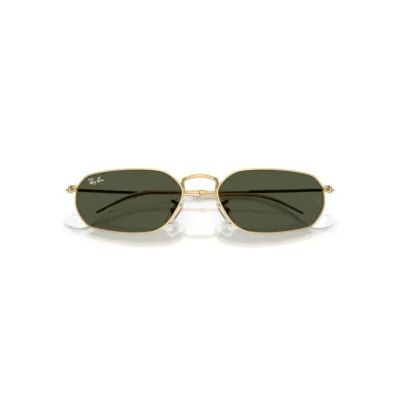 Ray-Ban 3947 001/31  54 Güneş Gözlüğü