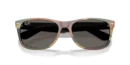 Ray-Ban 2132 6822B1 Wayfarer  55 Güneş Gözlüğü