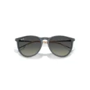 Ray-Ban 4171 681311 Erika  54 Güneş Gözlüğü
