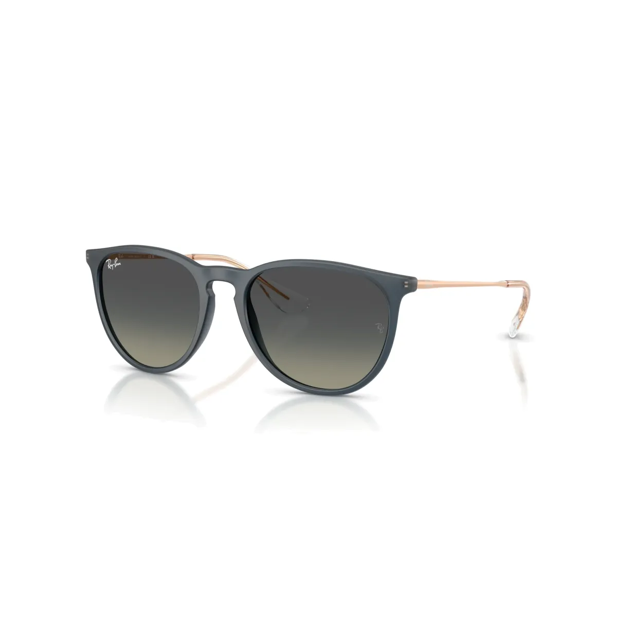 Ray-Ban 4171 681311 Erika 54 Güneş Gözlüğü - Görsel 6