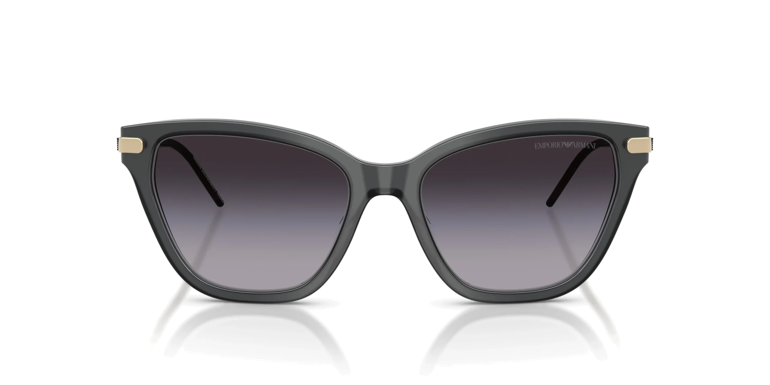 Emporio Armani 4251 62628G 54 Kadın Güneş Gözlüğü - Görsel 7